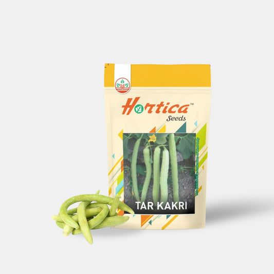 Long Melon (Tar Kakdi)