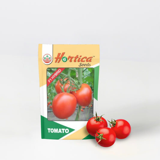 Tomato