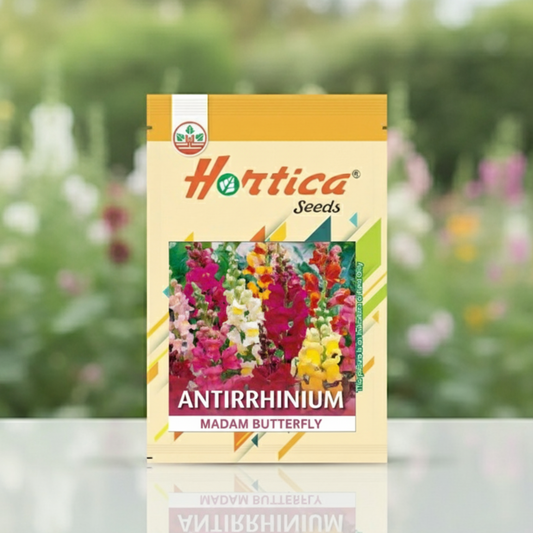 Antirrhinum Madam Butterfly Mix