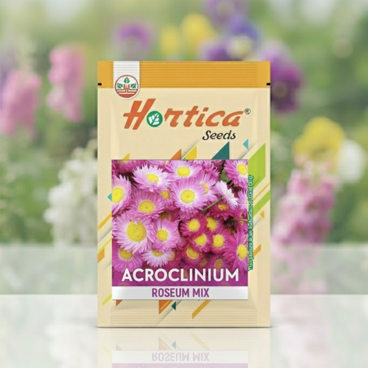 Acroclinium Roseum Mixed
