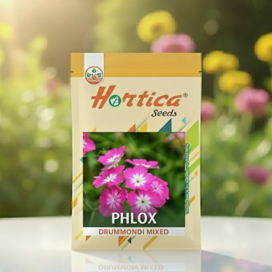 Phlox Drummondi Mixed