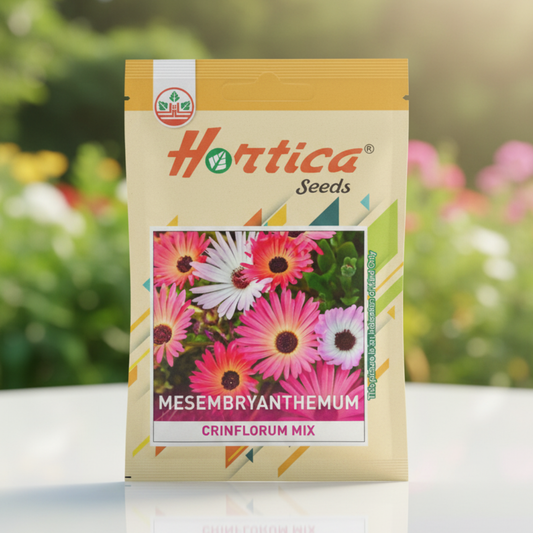Mesembryanthemum Crinflorum Mix