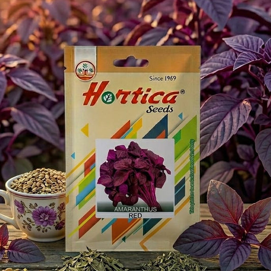 Amaranthus Red Seeds