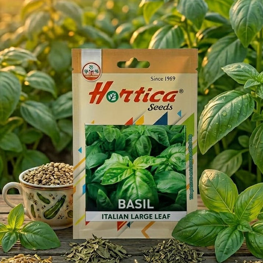 Basil Italian Large Leaf