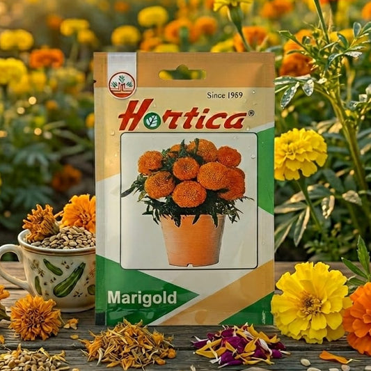 Marigold F1 Hybrid Incana (Gold, Yellow, Orange)