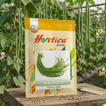 YARD LONG BEAN SEEDS