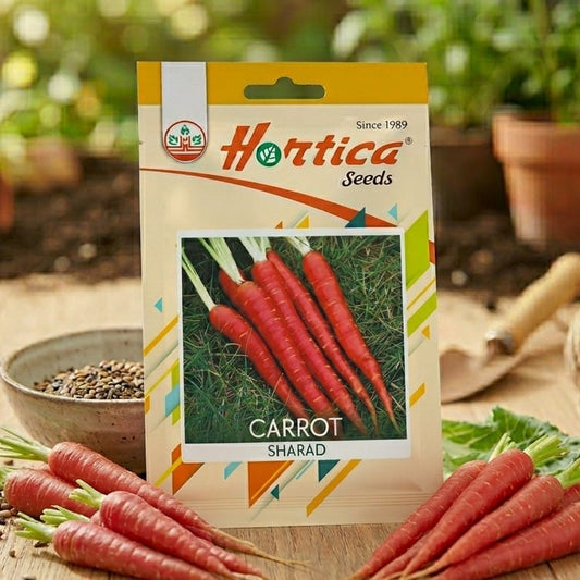 Carrot Red