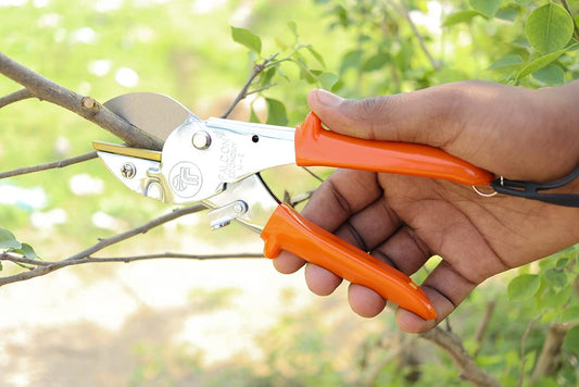 Falcon Pruning Secateur (M2 Economy)