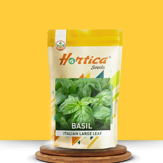 Basil Italian Large Leaf