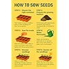Microgreen Seeds Kit | Pack of 10 Varieties - 10,000+ seeds