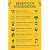Microgreen Seeds Kit | Pack of 10 Varieties - 10,000+ seeds