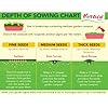 All-Season Vegetable Seed Kit | Pack of 40 Varieties - 3460+ seeds | F1 Hybrid Seeds