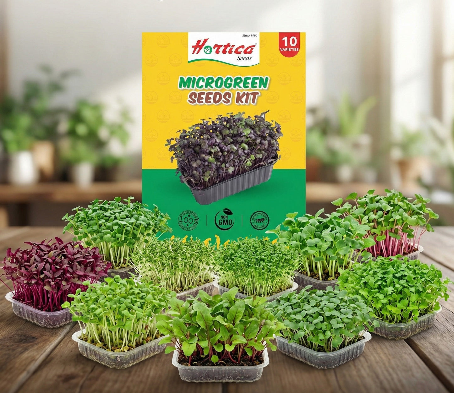 Microgreen Seeds Kit | Pack of 10 Varieties - 10,000+ seeds