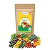 All-Season Vegetable Seed Kit | Pack of 40 Varieties - 3460+ seeds | F1 Hybrid Seeds