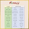 All-Season Vegetable Seed Kit | Pack of 40 Varieties - 3460+ seeds | F1 Hybrid Seeds