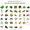 All-Season Vegetable Seed Kit | Pack of 40 Varieties - 3460+ seeds | F1 Hybrid Seeds